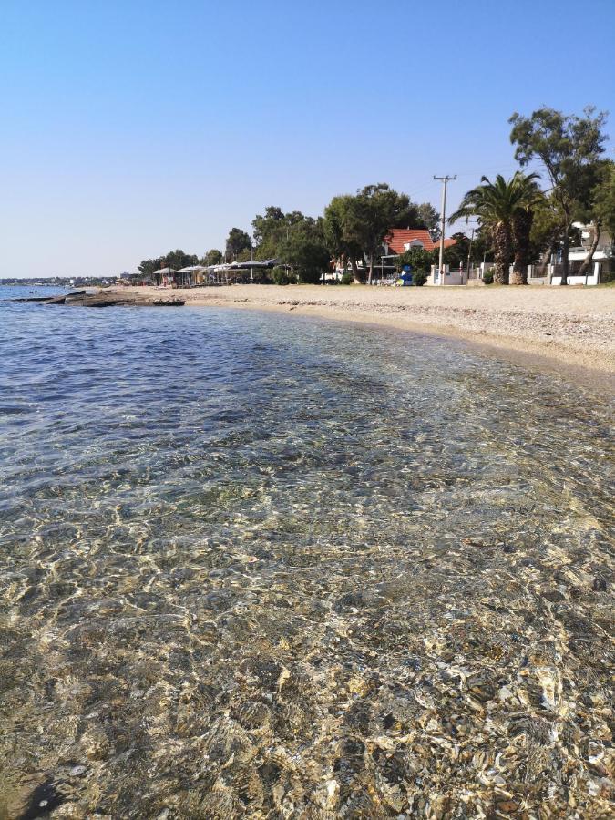 Aegean Sea Séjour chez l'habitant Néa Mákri